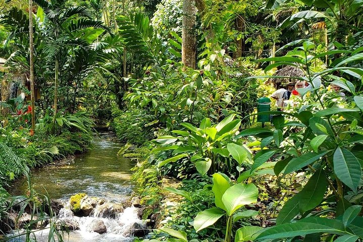 Ocho Rios Highlight & Dunns River - Full Day Tour - Image 4