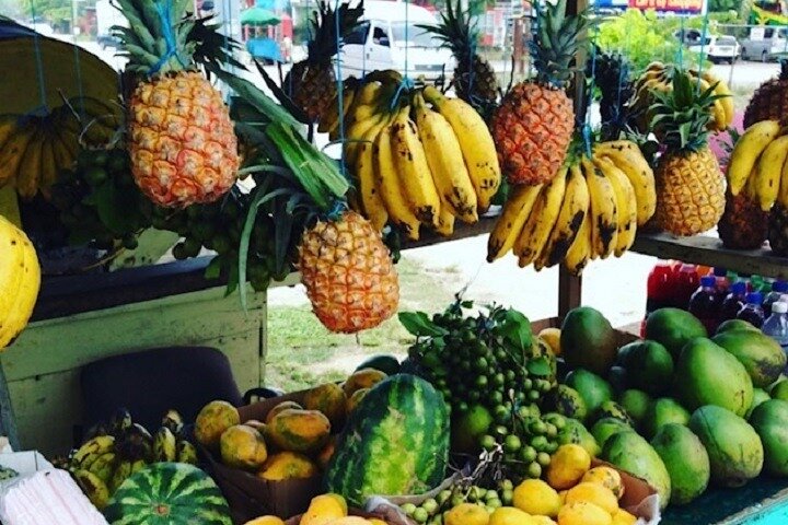 Ocho Rios Highlight Tour - Image 3