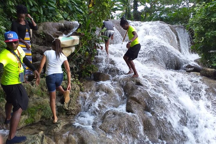 Ocho Rios Highlight Tour Including Dunn's River Falls - Image 3
