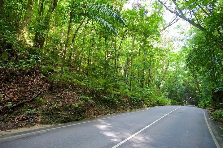 Ocho Rios Highlight Tour with River Tubing or Rafting - Image 1