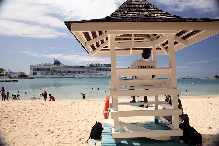 Ocho Rios Shore Excursion: Bus Tour of Ocho Rios, Fern Gully and Turtle Beach - Image 1
