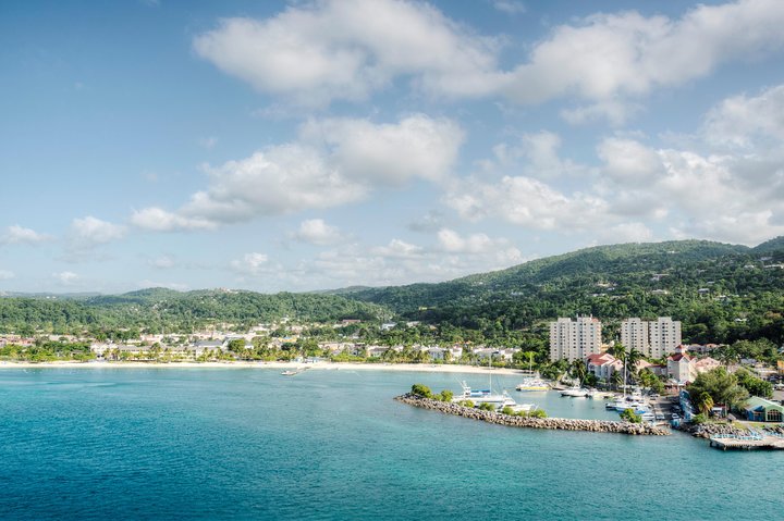 Ocho Rios Shore Excursion: Dunn's River Falls, Beach and Shopping Tour - Image 3