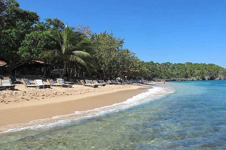 Ocho Rios Shore Excursion: Dunn's River Falls, Beach and Shopping Tour - Image 4