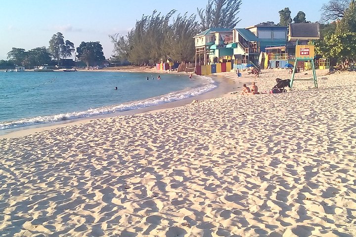 Ocho Rios Shore Excursion: Private Snorkel Tour - Image 5