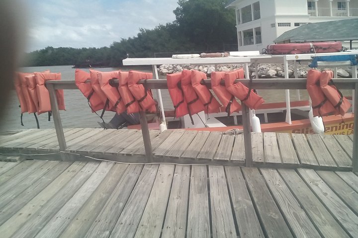 Ocho Rios Shore Excursion: Private Snorkel Tour - Image 4