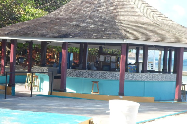 Ocho Rios Shore Excursion: Private Snorkel Tour - Image 3