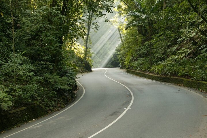 Ocho Rios Sightseeing, Beach Half-Day Tour (Admission include) - Image 5
