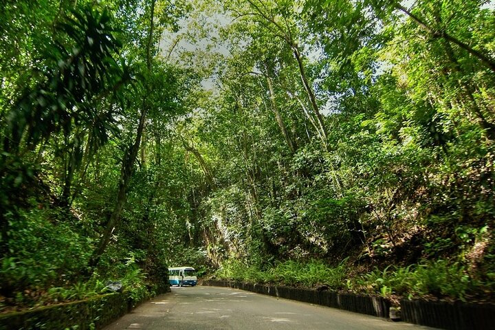Ocho Rios Sightseeing, Beach Half-Day Tour (Admission include) - Image 3