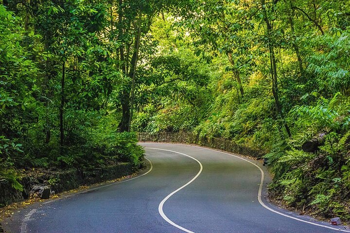 Ocho Rios Sightseeing, Beach Half-Day Tour (Admission include) - Image 4