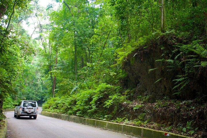 Ocho Rios Sightseeing, Beach Half-Day Tour (Admission include) - Image 1