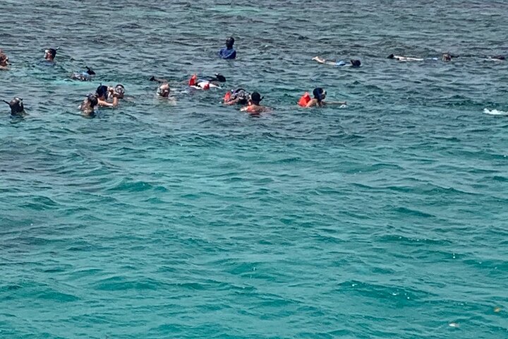 Party boat and Blue Hole combo from Ochi Rios - Image 3