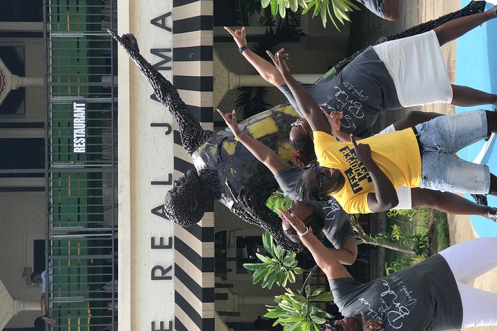Private and customizable Ocho Rios day tour - Image 3