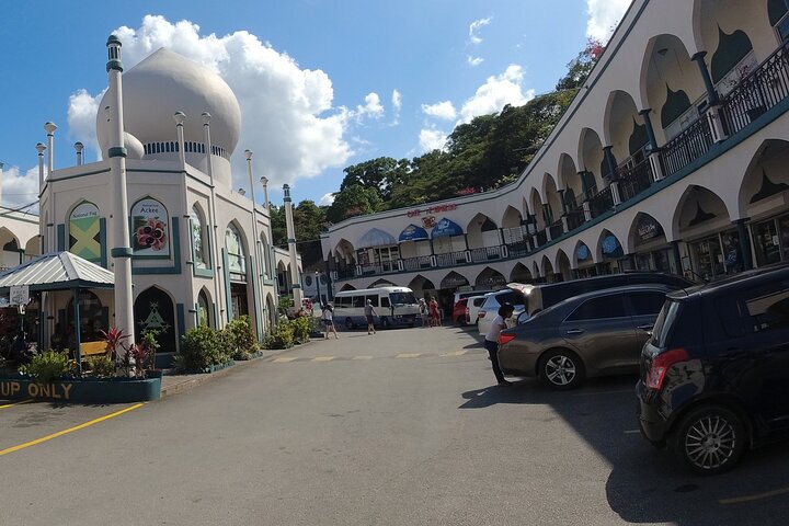 Private Dunn's River Falls & Shopping Tour from Falmouth - Image 3