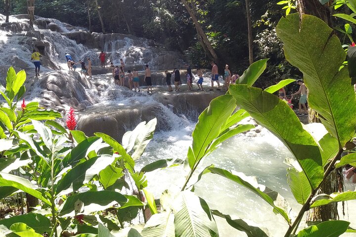Private Dunn's River Falls & Shopping Tour from Falmouth - Image 1