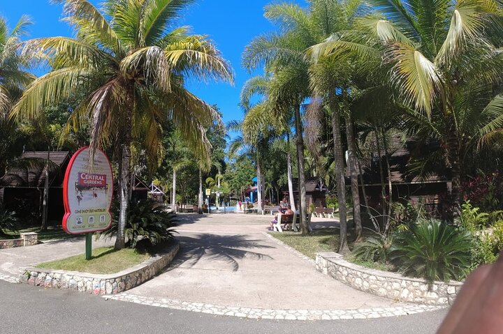 Private Dunn's River Falls & Shopping Tour from Falmouth - Image 5