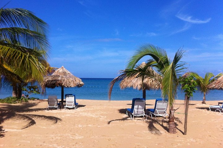 Private Fern Gully, Blue Hole and Bamboo Blu Beach Experience from Ocho Rios - Image 5