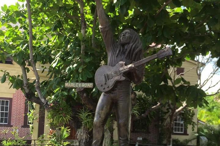 Private Guided Kingston Day Tour from Ocho Rios - Image 5