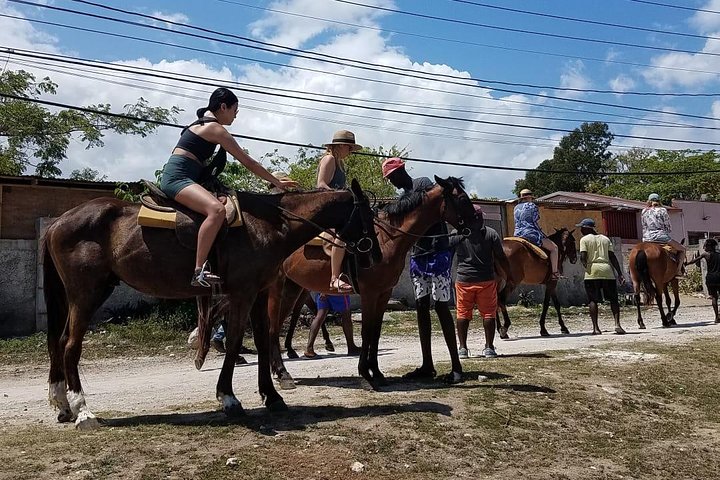 Private Horseback Riding from Ocho Rios with Guide - Image 5