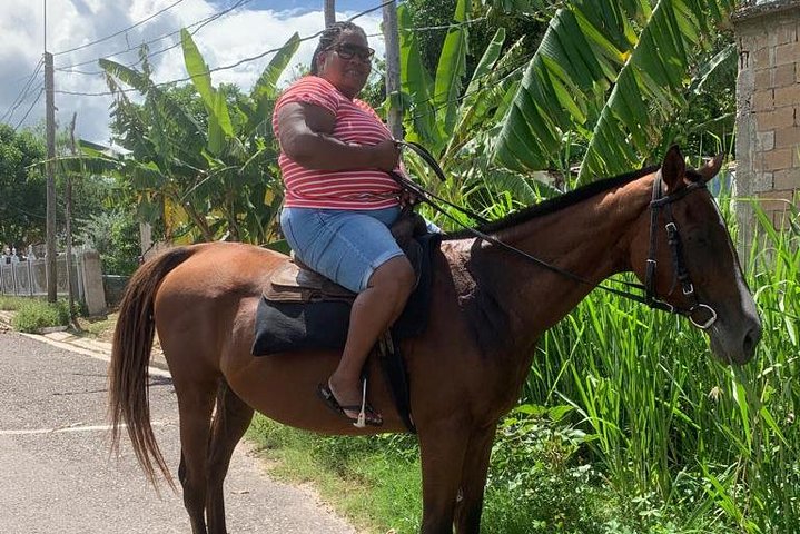 Private Horseback Riding from Ocho Rios with Guide - Image 4