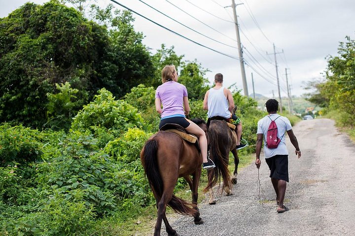 Private Horseback Riding from Ocho Rios with Guide - Image 2
