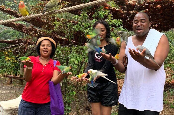 Private Konoko Falls and Blue Hole Combo Tour from Ocho Rios - Image 2