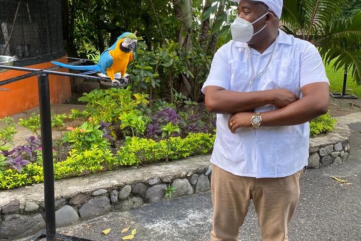 Private Konoko Falls and Blue Hole Combo Tour from Ocho Rios - Image 4
