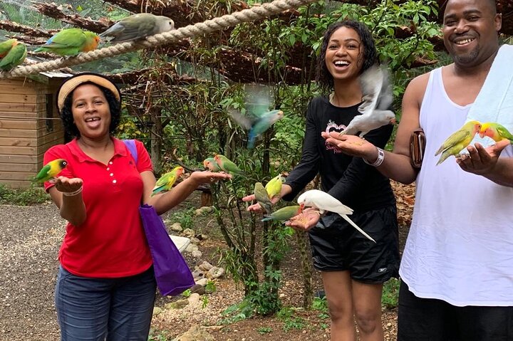Private Konoko Falls and Blue Hole Combo Tour from Ocho Rios - Image 1