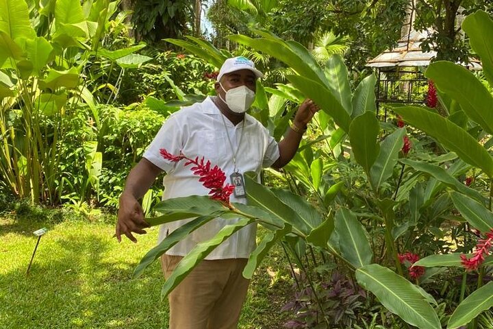 Private Konoko Falls and Dunn's River Combo Tour from Ocho Rios - Image 5
