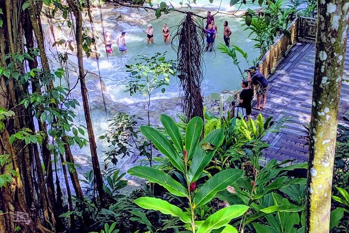 Private Ocho Rios highlight tour - Image 3