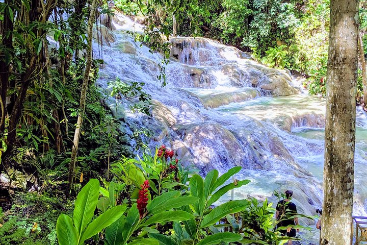 Private Ocho Rios highlight tour - Image 1