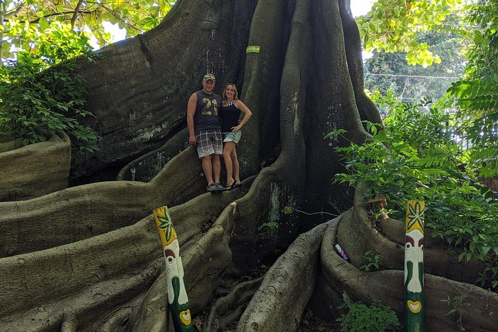 Private Ocho Rios highlight tour - Image 5