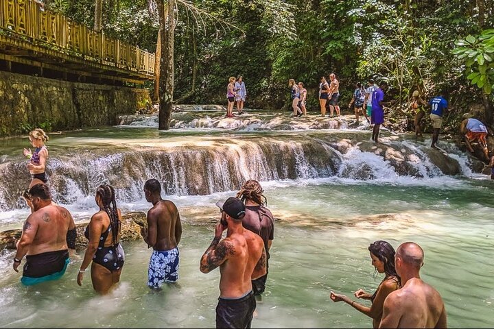 Private Ocho Rios Tour with Dunn's River Falls and Lunch - Image 3