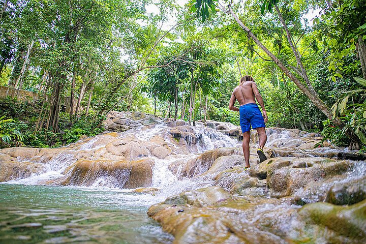 Private Ocho Rios Tour with Dunn's River Falls and Lunch - Image 1