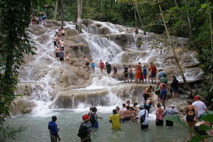 Private Ocho Rios Tour with Dunn's River Falls and Lunch - Image 2