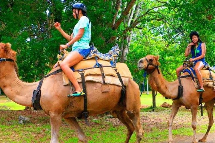 Private Round Trip Transfer to YAAMAN Adventure Park Ocho Rios - Image 5