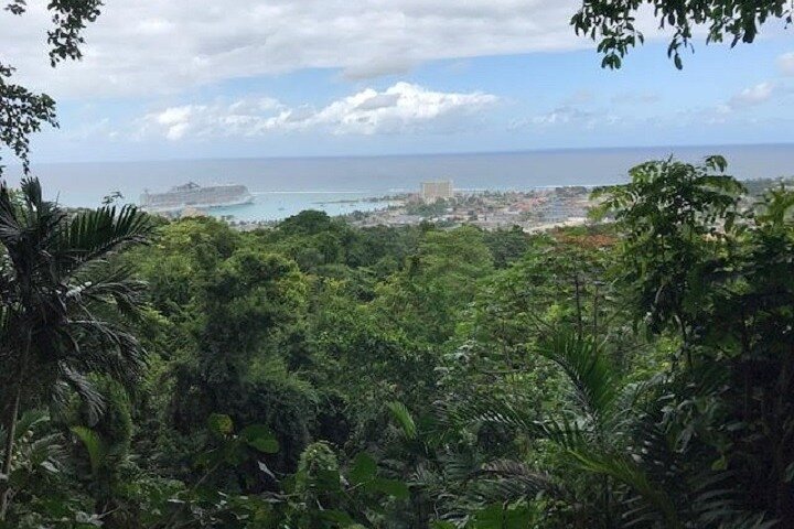 Private Sightseeing Tour in & Around Ocho Rios - Image 4