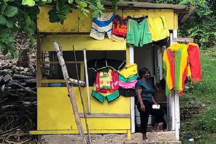 Private Sightseeing Tour in & Around Ocho Rios - Image 3