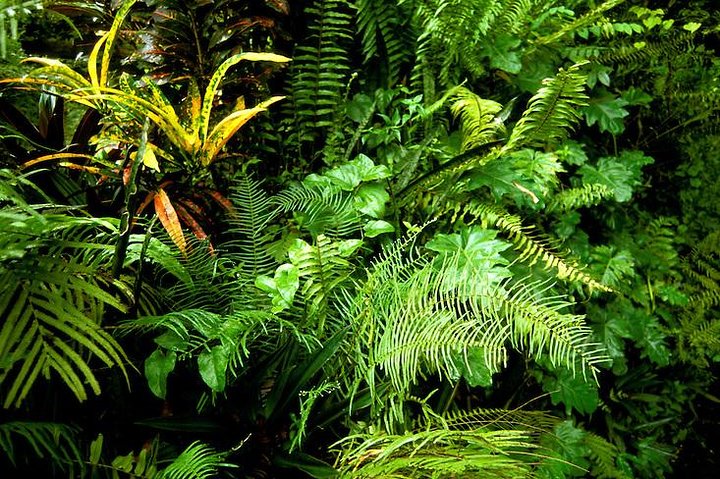 Private Sightseeing Tour in & Around Ocho Rios - Image 2