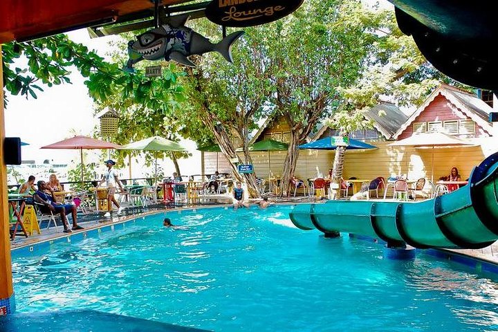 Private Tour - Blue Hole Express Tour and Margaritaville from Ocho Rios - Image 5