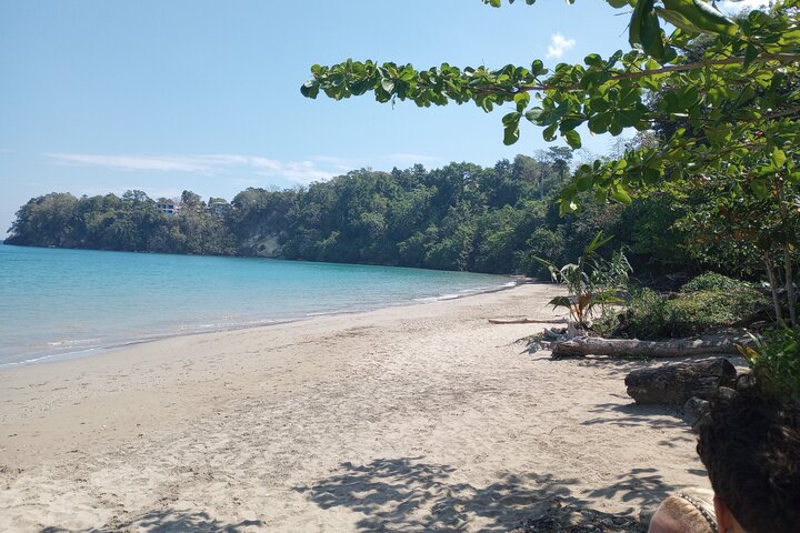 Private Tour Dunn's River / Blue hole or Horseback Riding combo - Image 5