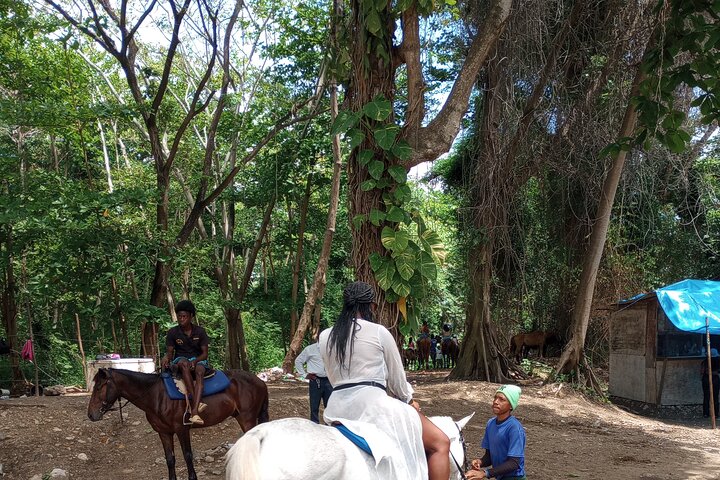 Private Tour Dunn's River / Blue hole or Horseback Riding combo - Image 4