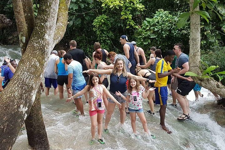 Private Tour - Dunn's River Falls and Ocho Rios Experience from Ocho Rios - Image 4
