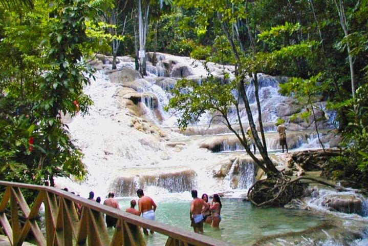 Private Tour From Ocho Rios to Blue Hole and Dunn's River  - Image 3