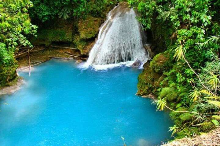 Private Tour From Ocho Rios to Blue Hole and Dunn's River  - Image 4