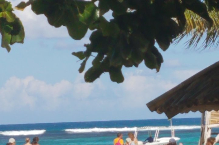 Private Tour Puerto Seco Beach Tour from Ocho Rios - Image 4