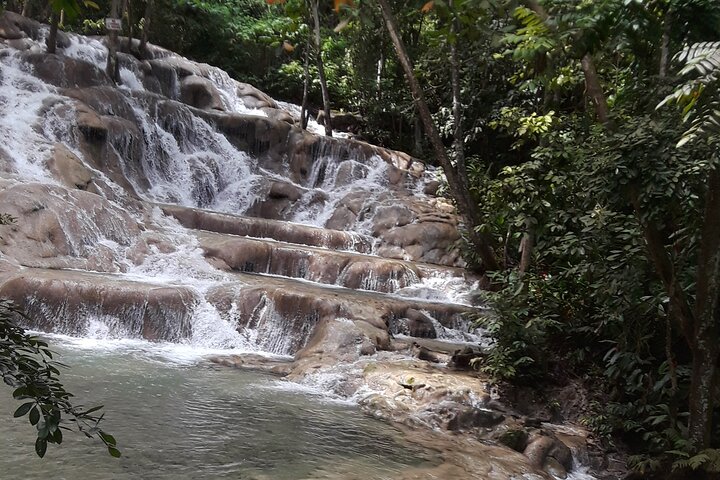 Private Tour to Dunn's River Falls From Ocho Rios  - Image 4