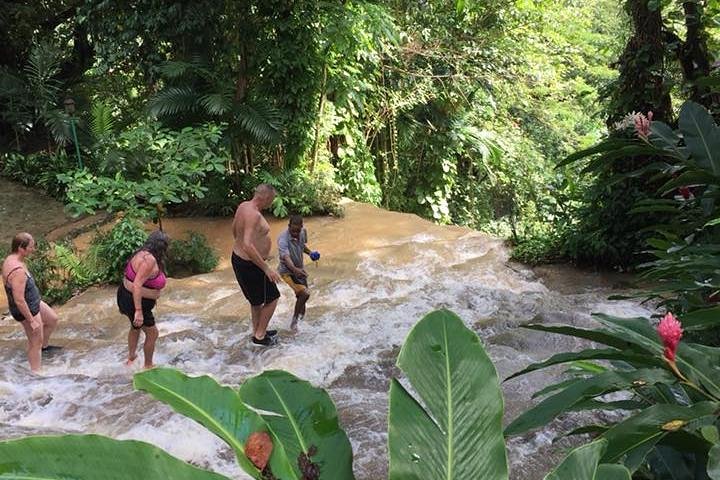 Shared Konoko Falls and Tropical Garden Tour from Ocho Rios - Image 3