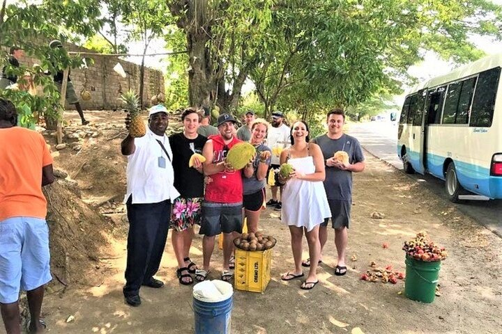  Taste of Jamaica Food Tour from Ocho Rios - Image 2