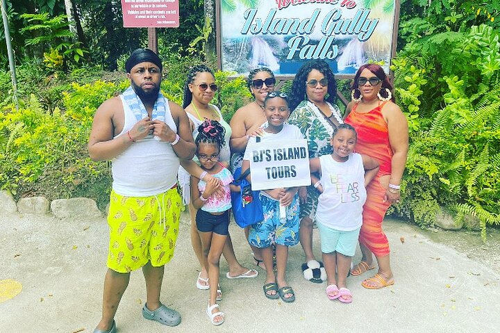 Wet and Wild - Blue Hole and Dunn's River - Image 5