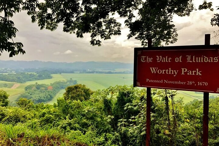 Worthy Park Estate Rum Private Tour - Image 2
